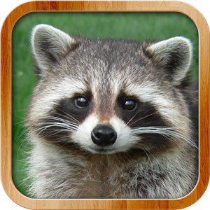 Kids Learn About Animals Kids Learn About Animals