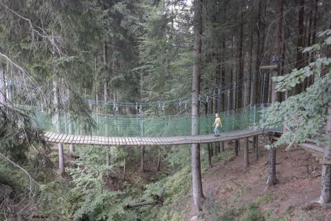 Lanový park Lanový park