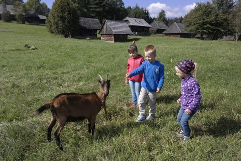 Gazdovské dvory, ranče a salaše